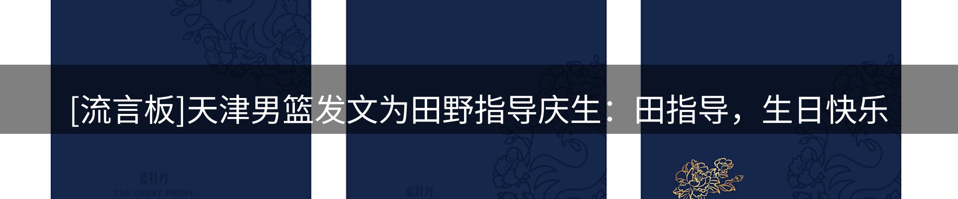 网站资讯